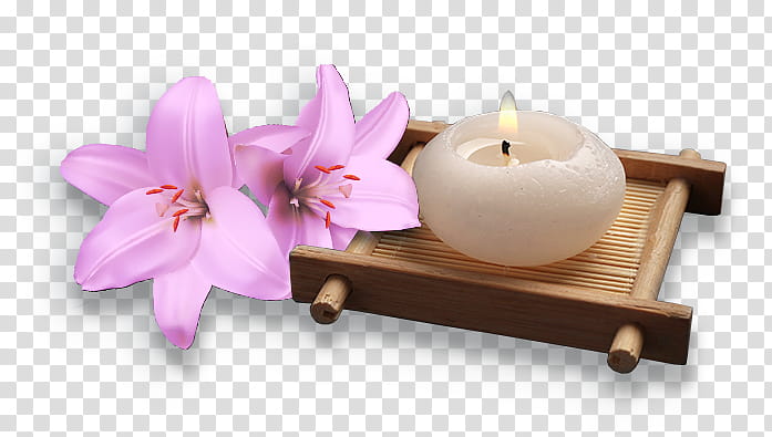 Pink Flower, Spa, Massage, Hot Tub, Aromatherapy, Candle, Tantra Massage, Petal transparent background PNG clipart