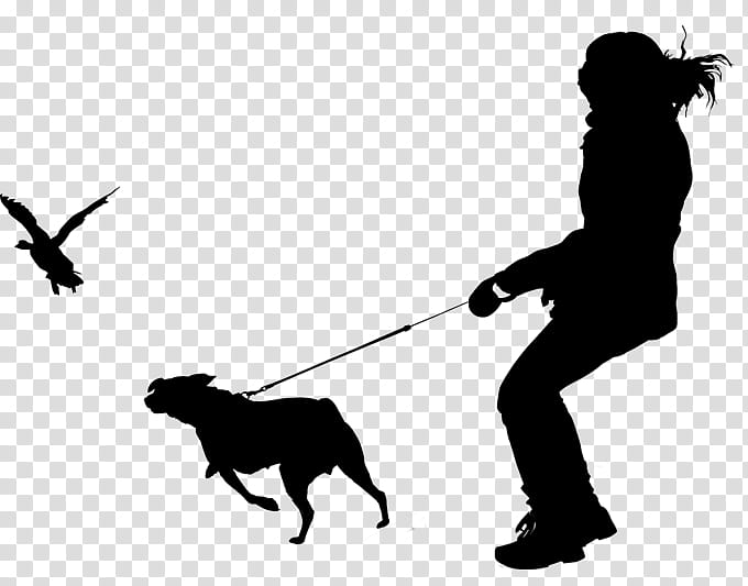 Dog Silhouette, Obedience Training, Dog Walking, Obedience Trial, Leash, Breed, Behavior, Sporting Group transparent background PNG clipart