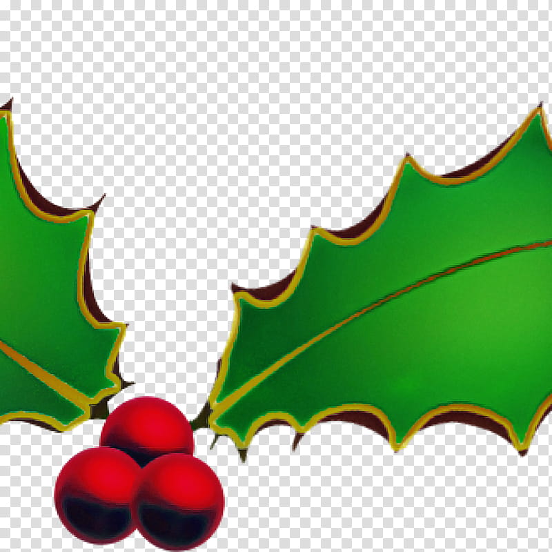 Holly, Leaf, Tree, Plant, Hollyleaf Cherry, Woody Plant, Plane transparent background PNG clipart