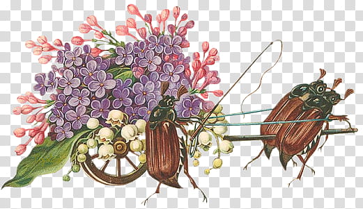 Vintage flower , two beetle pulling flowers while one other whipping illustration transparent background PNG clipart