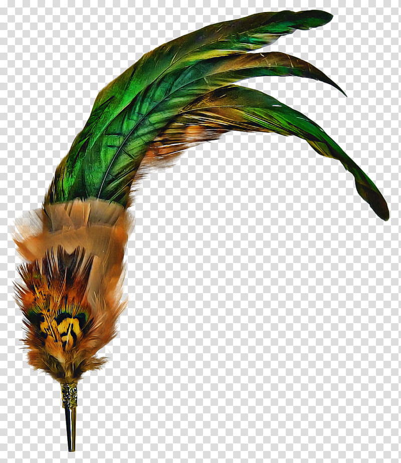 Peacock, Feather, Peafowl, Single Peacock Feathers, Headgear, Leaf, Plant, Wing transparent background PNG clipart