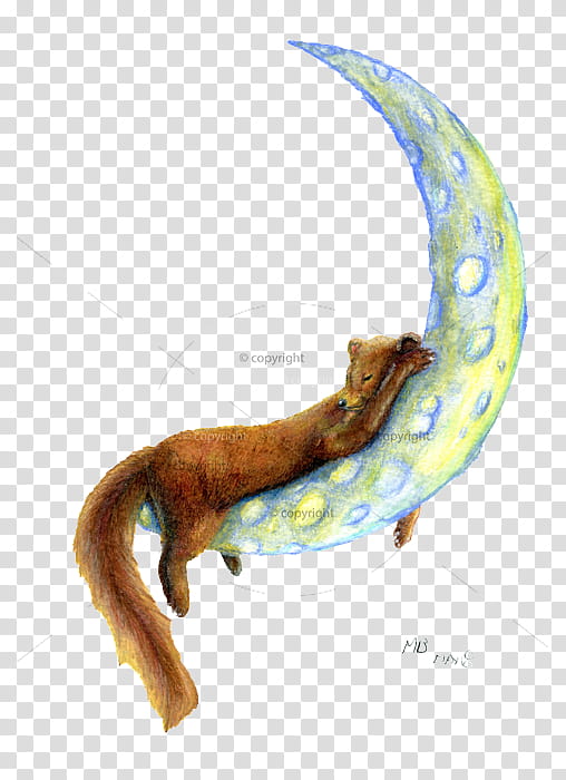 Watercolor Animal, European Pine Marten, Watercolour Pencils, Drawings And Paintings, Watercolor Painting, Artist, Colored Pencil, Tail transparent background PNG clipart