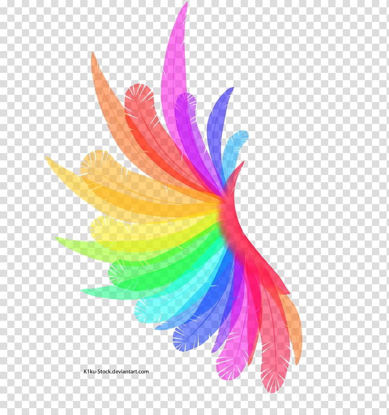 Rainbow Wing, assorted-color feather transparent background PNG clipart