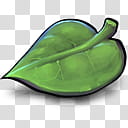 Buuf Deuce , LIZEAF! icon transparent background PNG clipart