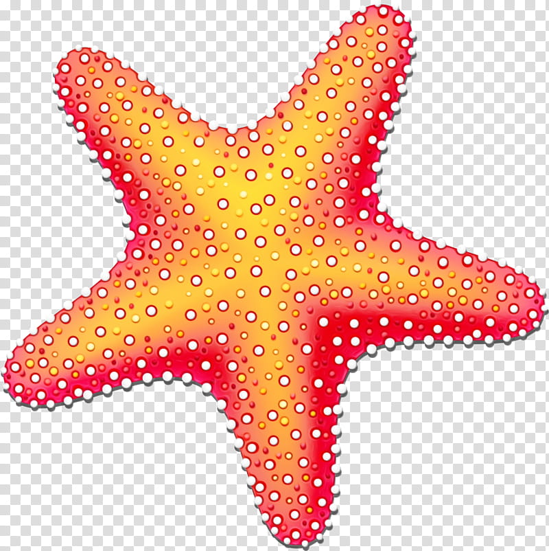 Star, Starfish, Sand Dollar, Sea, Point, Beach, Pink, Orange transparent background PNG clipart