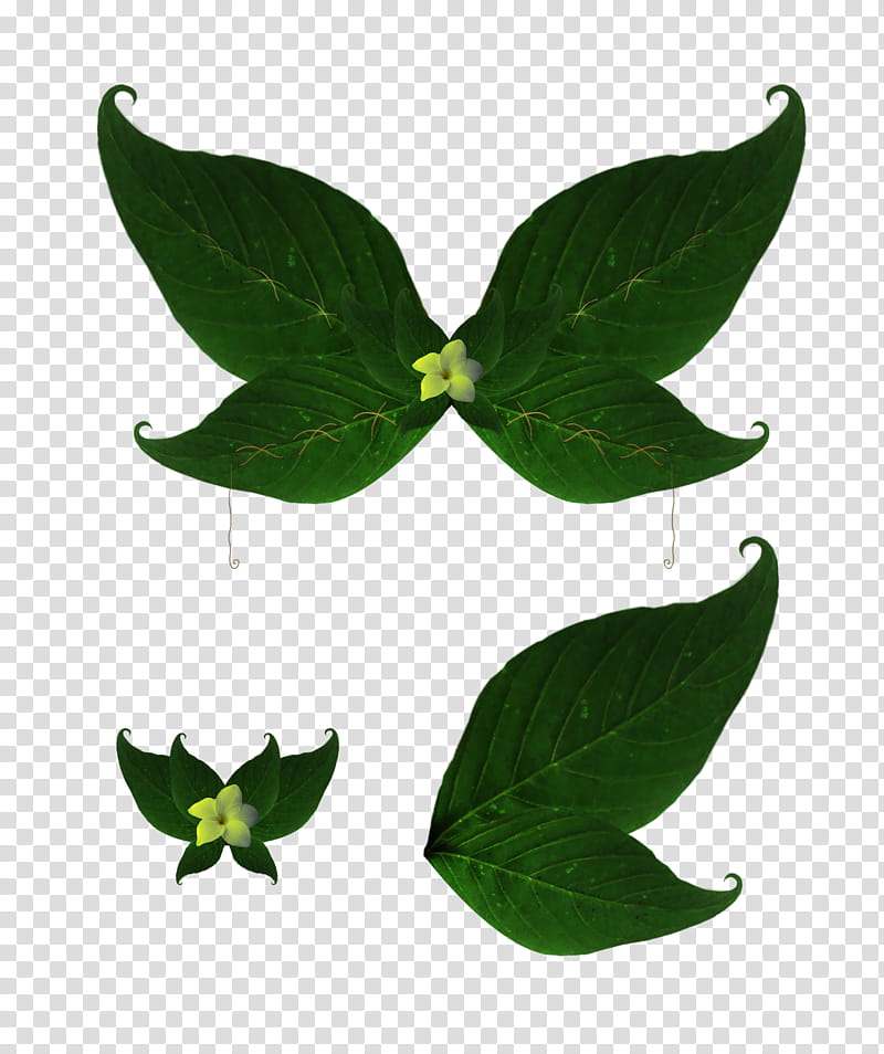 Wing , green leaf transparent background PNG clipart