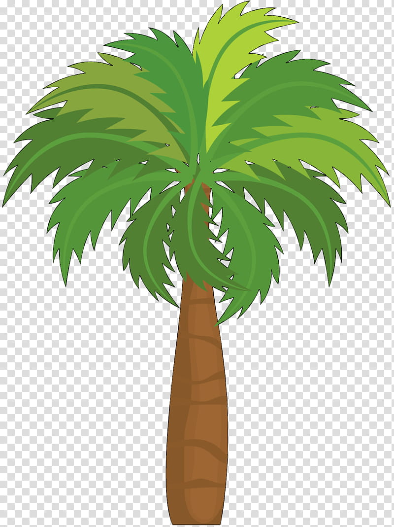 Cartoon Palm Tree, Asian Palmyra Palm, Coconut, Leaf, Plant Stem, Plants, Borassus, Green transparent background PNG clipart