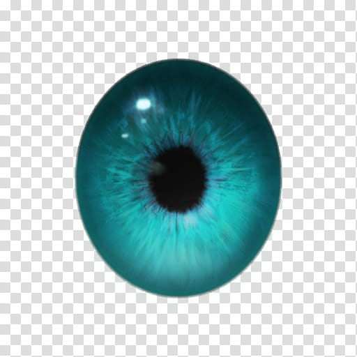 MMD Realistic Eye Textures DL transparent background PNG clipart