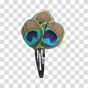 accessories, brown and blue peacock hair pin transparent background PNG clipart