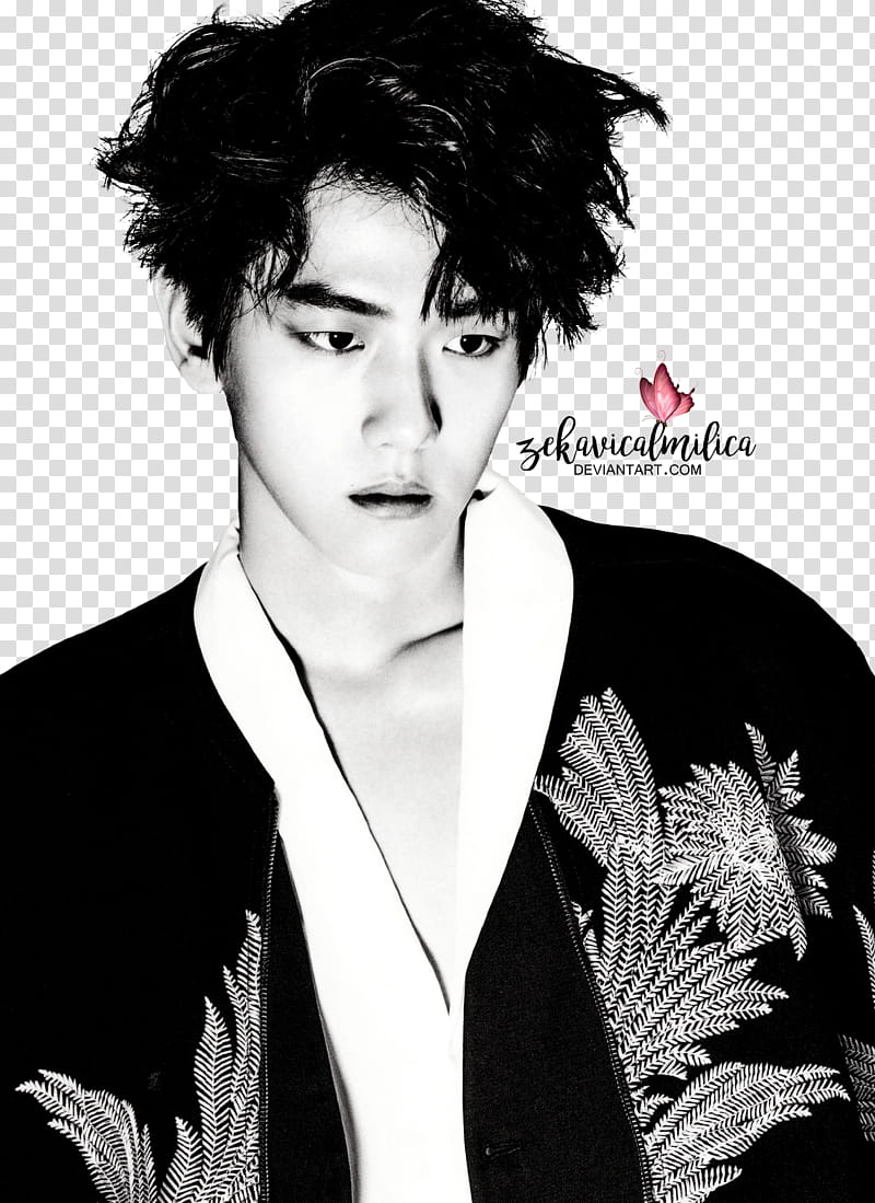 EXO Baekhyun W Korea transparent background PNG clipart