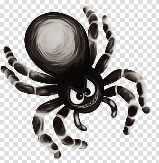 tarantula spider octopus arachnid black-and-white, Watercolor, Paint, Wet Ink, Blackandwhite transparent background PNG clipart