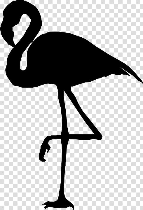 Flamingo Silhouette, Bird, Greater Flamingo, Beak, Water Bird, Cranelike Bird transparent background PNG clipart