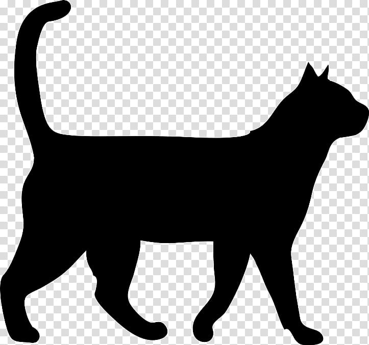 Dog And Cat, Pet Harness, Leash, Snowshoe Cat, Collar, Ferret, Cancer In Cats, Black Cat transparent background PNG clipart