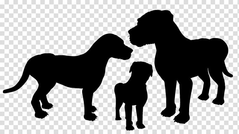 Dog And Cat, Lion, Mustang, Breed, Silhouette, Naturism, Black M, Horse transparent background PNG clipart