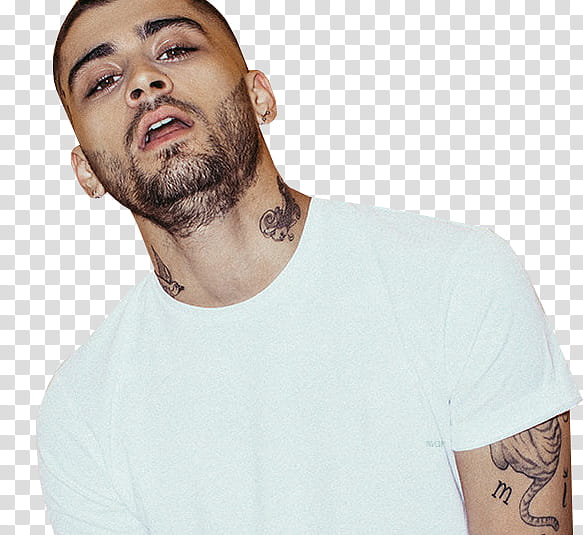 The Meaning Behind Zayns Tattoos  POPSUGAR Beauty