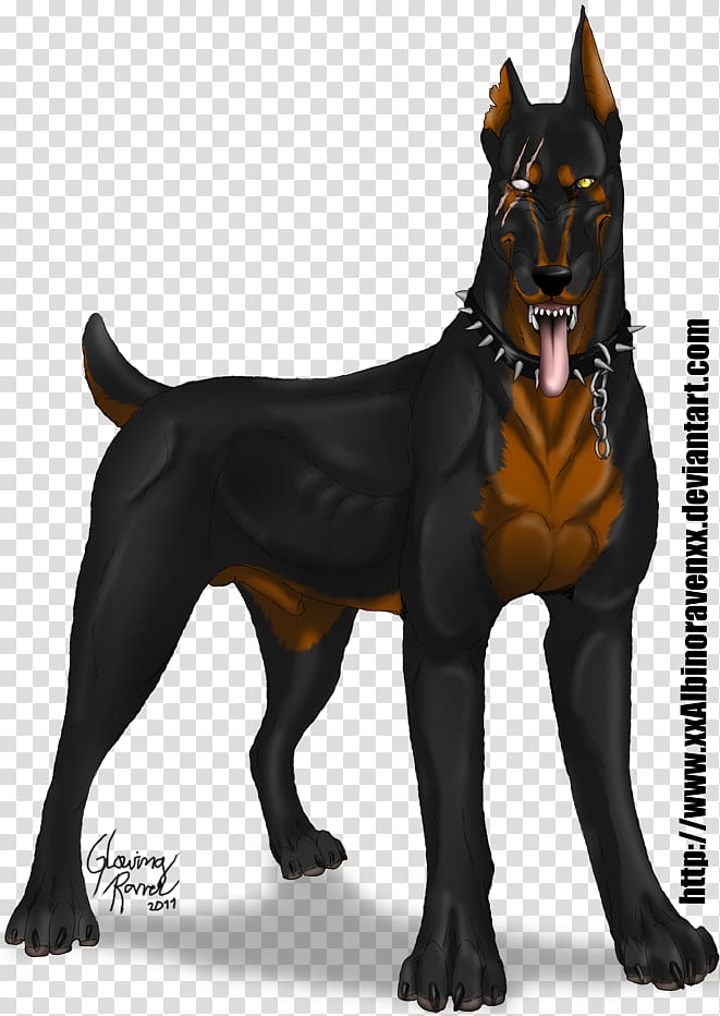 Volker the Dobermann transparent background PNG clipart