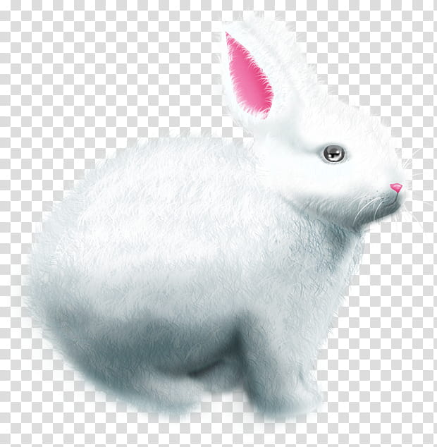 Easter awaiter, white rabbit artwork transparent background PNG clipart