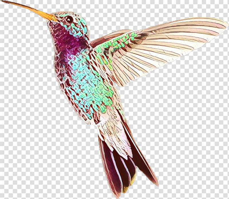 Hummingbird, Beak, Rufous Hummingbird, Coraciiformes, Wing, Cuculiformes, Rubythroated Hummingbird transparent background PNG clipart