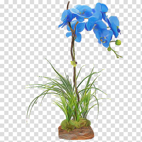 flower plant aquarium decor flowerpot houseplant, Iris, Terrestrial Plant, Plant Stem, Moth Orchid, Cut Flowers transparent background PNG clipart