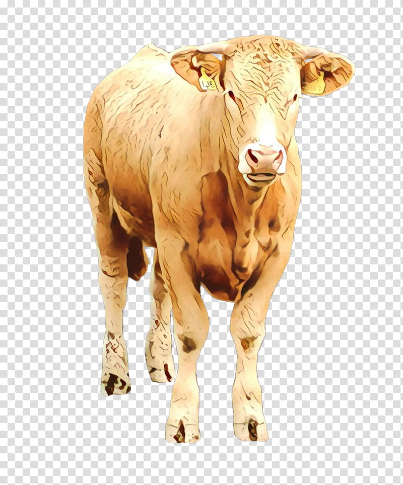 bovine horn calf cow-goat family live, Cartoon, Cowgoat Family, Live, Animal Figure, Snout, Bull, Fawn transparent background PNG clipart