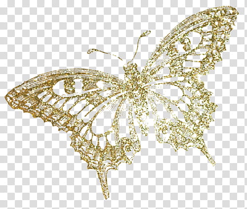 gold-colored butterfly illustration transparent background PNG clipart