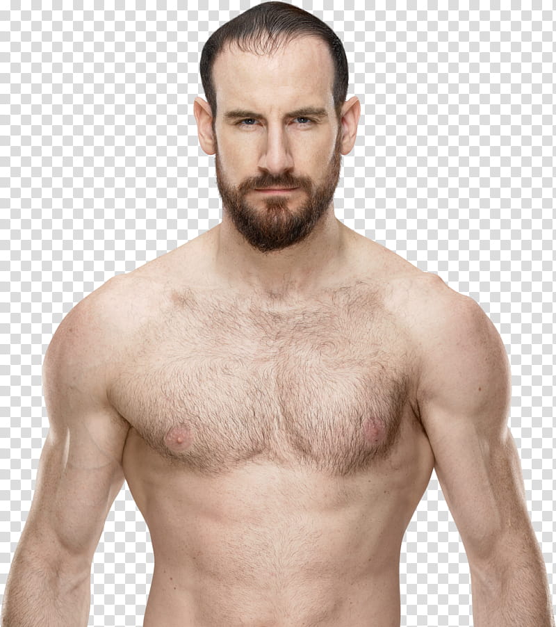 Aiden English NEW  transparent background PNG clipart