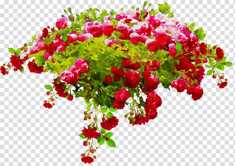 flower bougainvillea plant flowering plant leaf, Watercolor, Paint, Wet Ink, Cut Flowers, Bouquet, Petal, Annual Plant transparent background PNG clipart