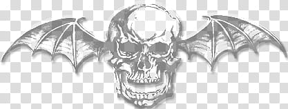 Avenged Sevenfold Skull transparent PNG - StickPNG