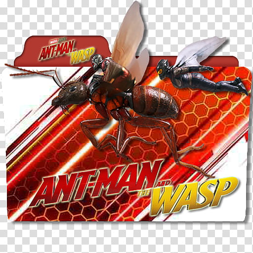 Antman and the Wasp  Folder Icons, Antman and the Wasp (), transparent background PNG clipart