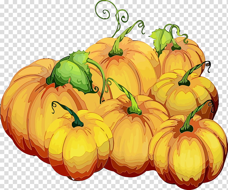 Pumpkin, Thanksgiving, Autumn, Watercolor, Paint, Wet Ink, Yellow, Natural Foods transparent background PNG clipart