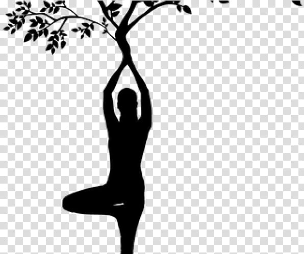 Tree Branch Silhouette, Woman, Meditation, Drawing, Girl, Leg, Blackandwhite, Leaf transparent background PNG clipart