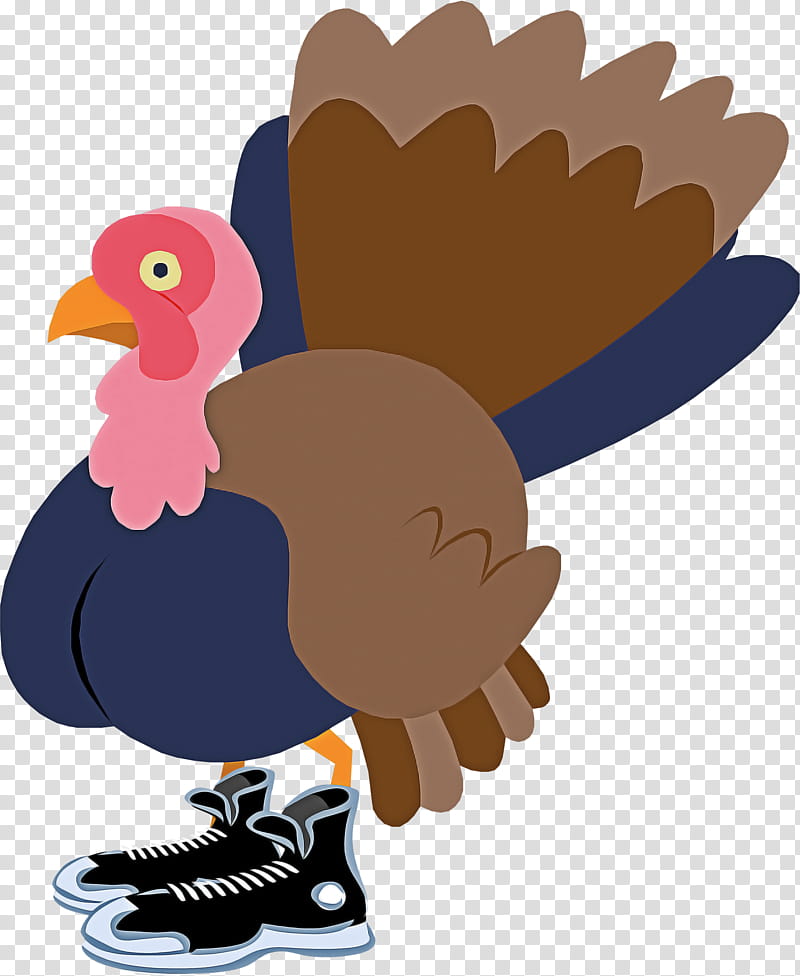 bird cartoon turkey beak vulture, Flightless Bird, Andean Condor, Wing transparent background PNG clipart
