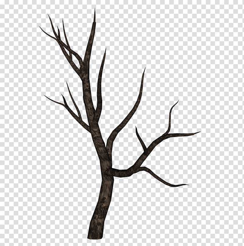 D Trees , brown dried tree branch transparent background PNG clipart