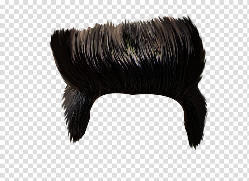 Hairstyle Picsart, Editing, Braid, Brush, Eyelash, Black Hair, Fur, Costume Accessory transparent background PNG clipart