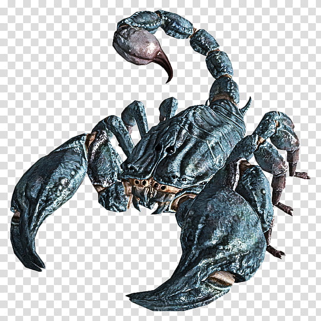 scorpion crab arachnid decapoda claw, Sculpture, Animal Figure, Lobster transparent background PNG clipart