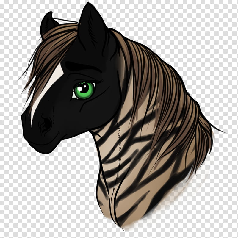 Zebra, Mustang, Quagga, Halter, Character, Rein, Snout, Naturism transparent background PNG clipart