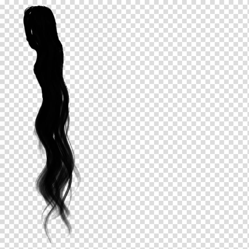 Basic Hair, black hair extension transparent background PNG clipart