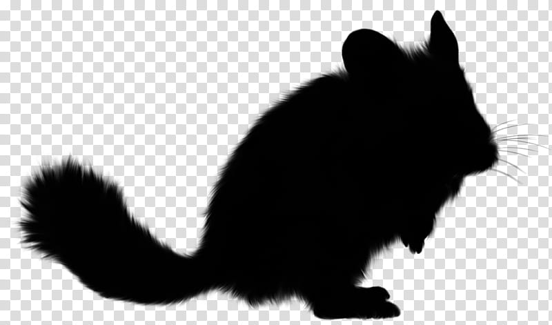 Squirrel, Whiskers, Cat, Fur, Snout, Silhouette, Rabbit, Black M transparent background PNG clipart