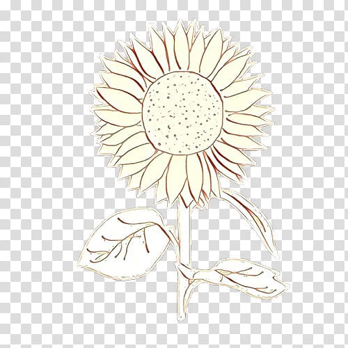 Sunflower, Cartoon, Gerbera, Plant, Petal, Chamomile, Cut Flowers, Daisy transparent background PNG clipart