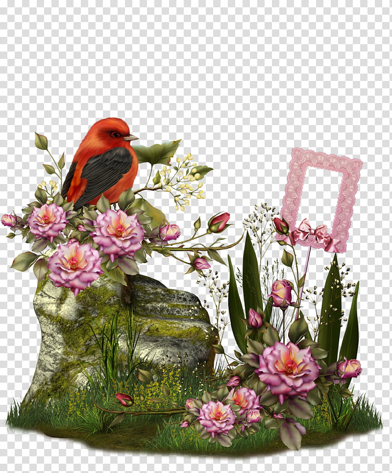 Fantasy Rock , red bird on rock painting transparent background PNG clipart