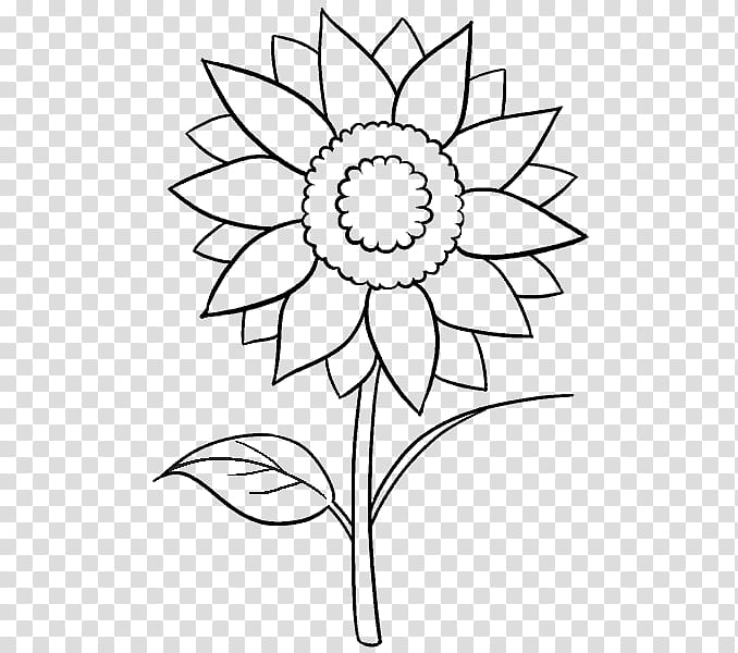 Sunflower Black And White, Floral Design, Black White M, Cut Flowers, Drawing, Leaf, Petal, Plant Stem transparent background PNG clipart