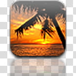 silhouette of coconut tree against golden hour icon transparent background PNG clipart