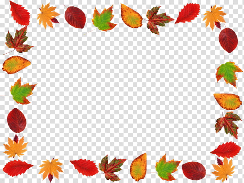 frame, assorted leaves border illustration transparent background PNG clipart