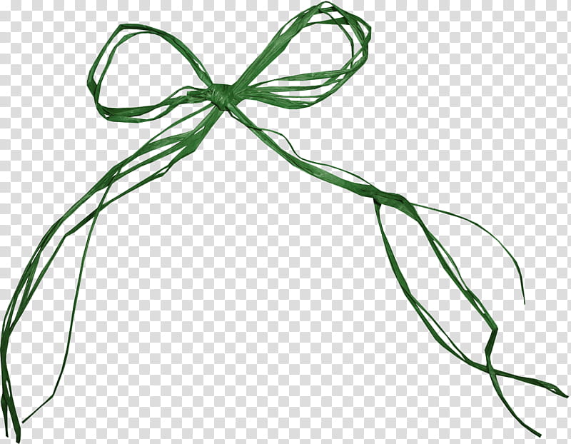 Background Green Ribbon, Rope, Bow, Twine, Orange, Knot, Bow Tie, Project transparent background PNG clipart
