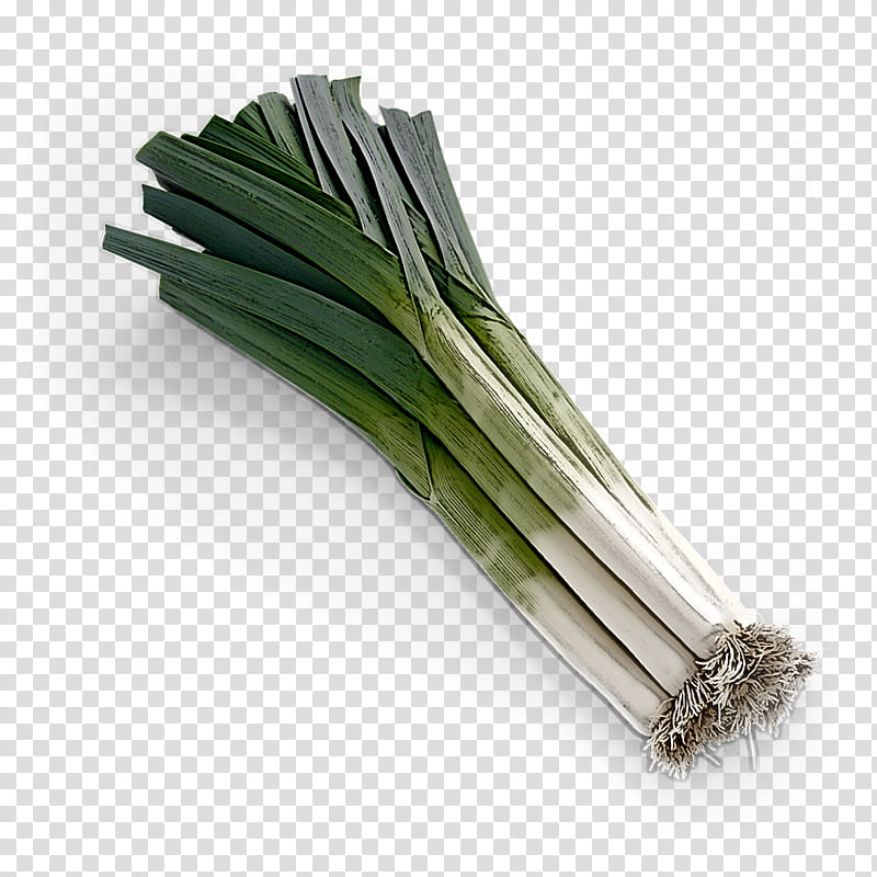 welsh onion vegetable leek plant calçot, Chives, Food, Scallion, Allium, Grass transparent background PNG clipart