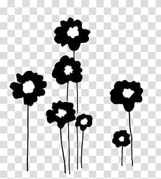 Doodles and Drawing , black and white petaled flowers transparent background PNG clipart
