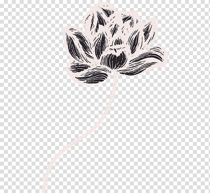 Lotus Flower, Sacred Lotus, Drawing, Cartoon, Silhouette, Color, Plant, Petal transparent background PNG clipart