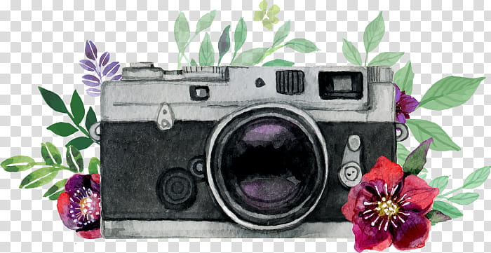 graphy Camera Logo, Watercolor Painting, Drawing, Portrait, grapher, Cameras Optics, Digital Camera, Pink transparent background PNG clipart