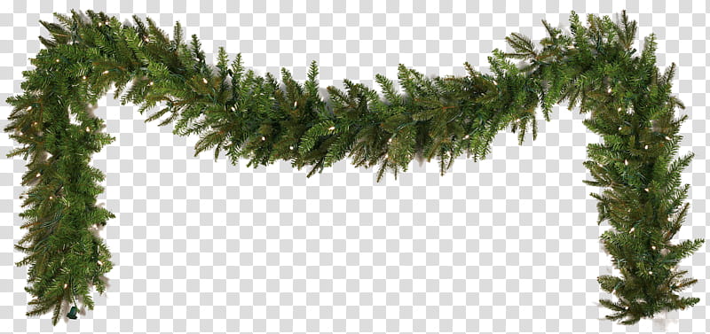 CHRISTMAS MEGA, green pine tree branch on arc form transparent background PNG clipart