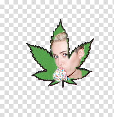 Stickers Bangerz Bangerz Tour zip, Miley Cyrus transparent background PNG clipart